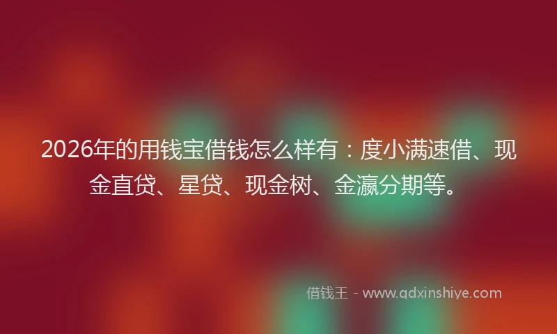 2026年的用钱宝借钱怎么样有：度小满速借、现金直贷、星贷、现金树、金瀛分期等。