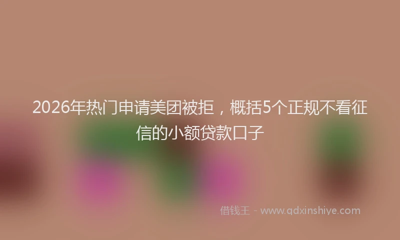 2026年热门申请美团被拒，概括5个正规不看征信的小额贷款口子