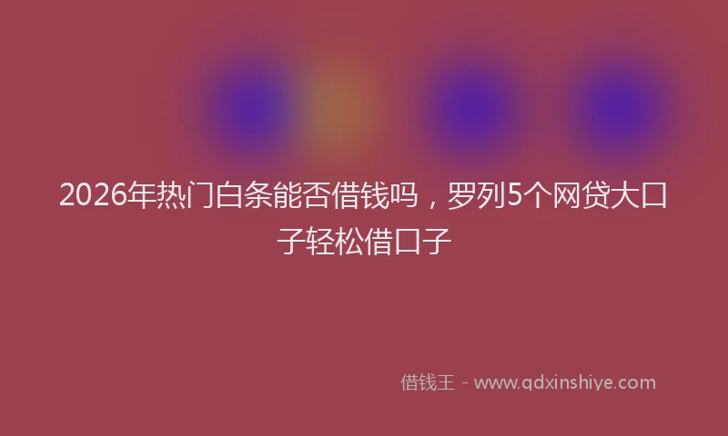 2026年热门白条能否借钱吗，罗列5个网贷大口子轻松借口子
