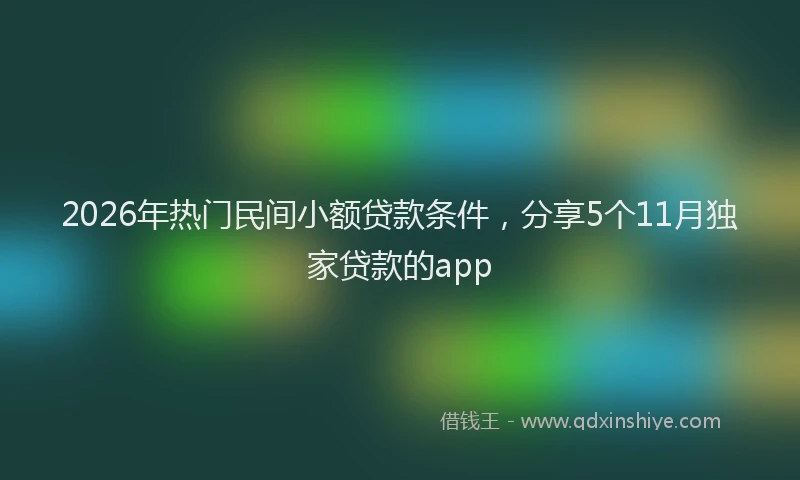 2026年热门民间小额贷款条件，分享5个11月独家贷款的app