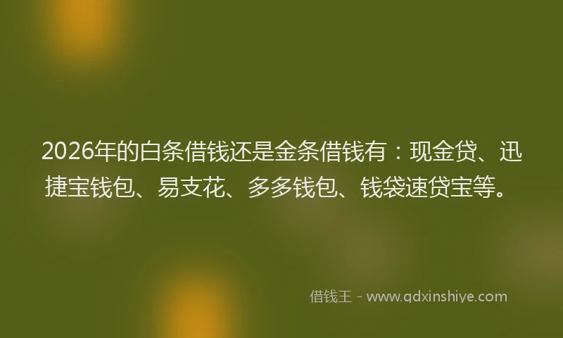 2026年的白条借钱还是金条借钱有：现金贷、迅捷宝钱包、易支花、多多钱包、钱袋速贷宝等。
