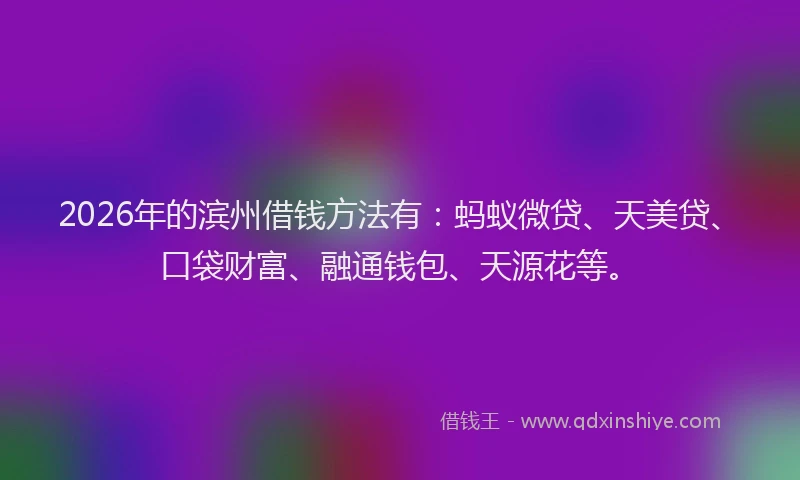 2026年的滨州借钱方法有：蚂蚁微贷、天美贷、口袋财富、融通钱包、天源花等。