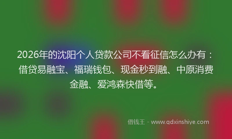2026年的沈阳个人贷款公司不看征信怎么办有：借贷易融宝、福瑞钱包、现金秒到融、中原消费金融、爱鸿森快借等。