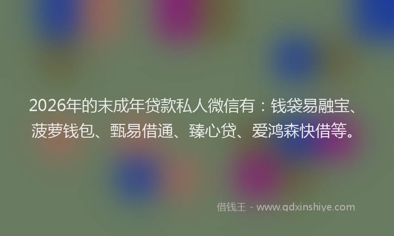 2026年的末成年贷款私人微信有：钱袋易融宝、菠萝钱包、甄易借通、臻心贷、爱鸿森快借等。