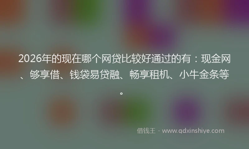 2026年的现在哪个网贷比较好通过的有：现金网、够享借、钱袋易贷融、畅享租机、小牛金条等。