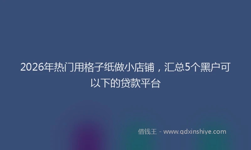 2026年热门用格子纸做小店铺，汇总5个黑户可以下的贷款平台