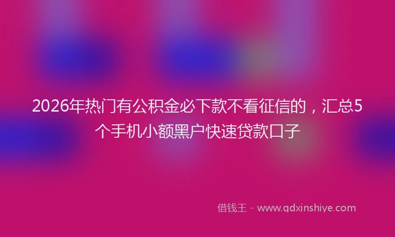 2026年热门有公积金必下款不看征信的，汇总5个手机小额黑户快速贷款口子
