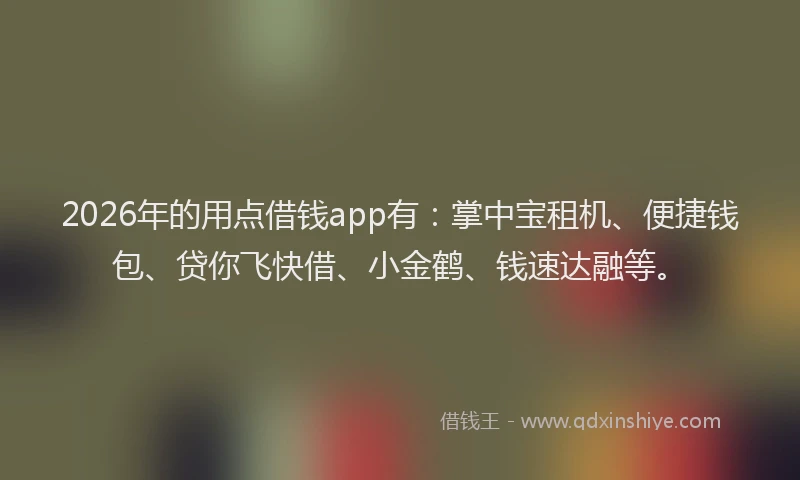 2026年的用点借钱app有：掌中宝租机、便捷钱包、贷你飞快借、小金鹤、钱速达融等。