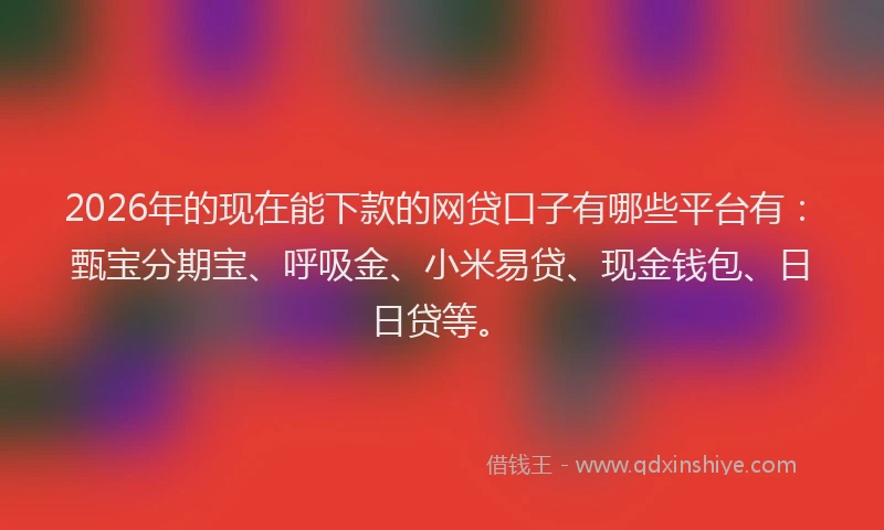 2026年的现在能下款的网贷口子有哪些平台有：甄宝分期宝、呼吸金、小米易贷、现金钱包、日日贷等。