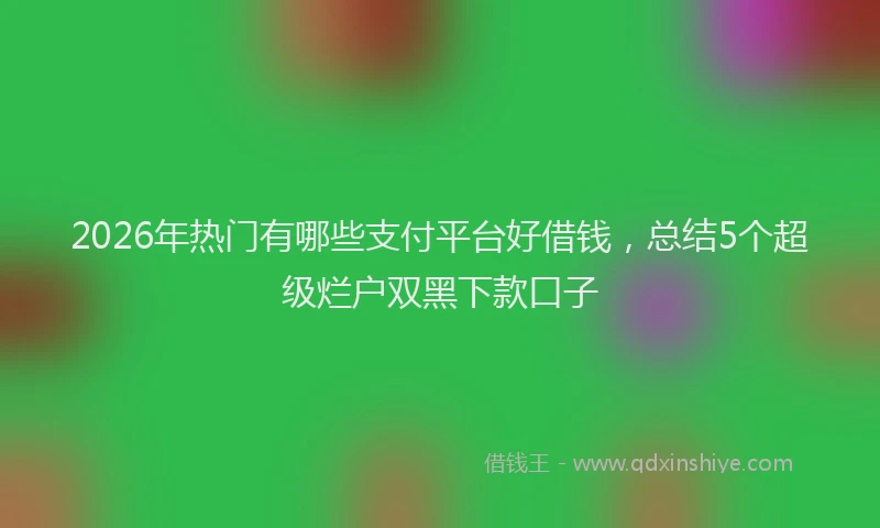 2026年热门有哪些支付平台好借钱，总结5个超级烂户双黑下款口子