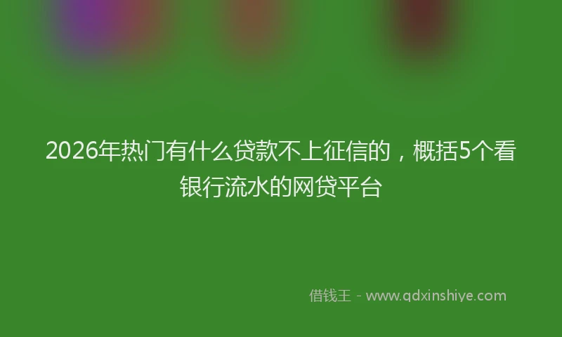 2026年热门有什么贷款不上征信的，概括5个看银行流水的网贷平台