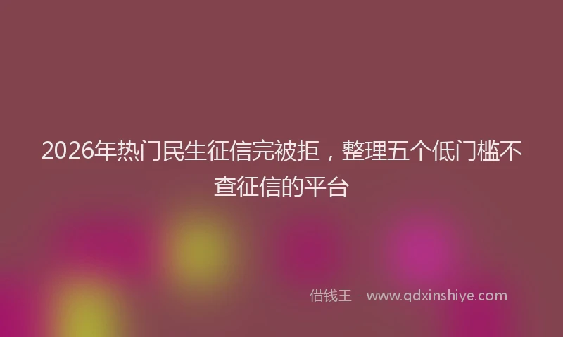 2026年热门民生征信完被拒，整理五个低门槛不查征信的平台