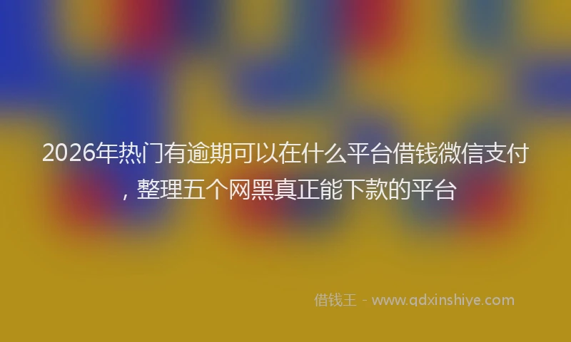 2026年热门有逾期可以在什么平台借钱微信支付,整理五个网黑真正能下款的平台