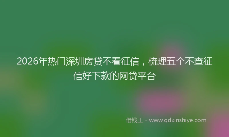 2026年热门深圳房贷不看征信，梳理五个不查征信好下款的网贷平台