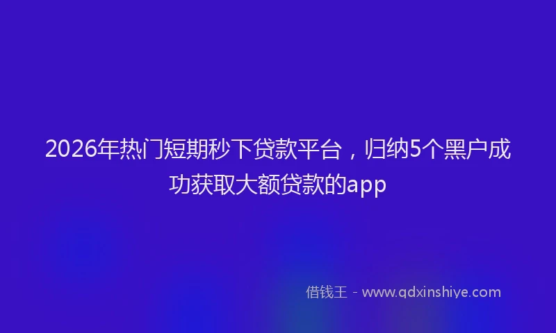 2026年热门短期秒下贷款平台，归纳5个黑户成功获取大额贷款的app