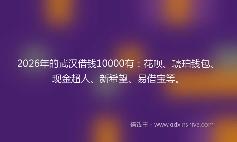2026年的武汉借钱10000有：花呗、琥珀钱包、现金超人、新希望、易借宝等。