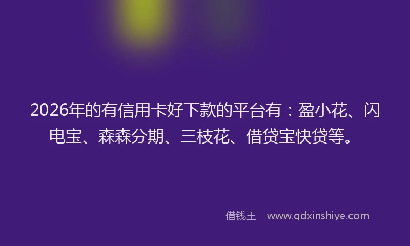 2026年的有信用卡好下款的平台有：盈小花、闪电宝、森森分期、三枝花、借贷宝快贷等。