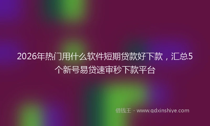 2026年热门用什么软件短期贷款好下款，汇总5个新号易贷速审秒下款平台