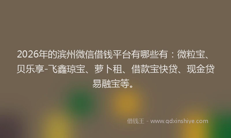 2026年的滨州微信借钱平台有哪些有：微粒宝、贝乐享-飞鑫琼宝、萝卜租、借款宝快贷、现金贷易融宝等。