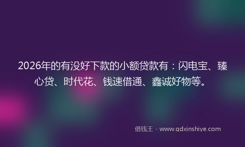 2026年的有没好下款的小额贷款有：闪电宝、臻心贷、时代花、钱速借通、鑫诚好物等。