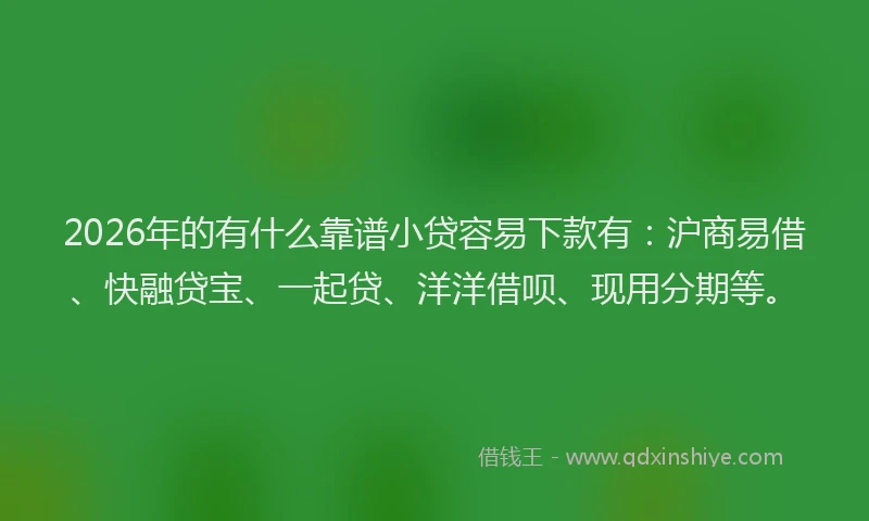 2026年的有什么靠谱小贷容易下款有：沪商易借、快融贷宝、一起贷、洋洋借呗、现用分期等。
