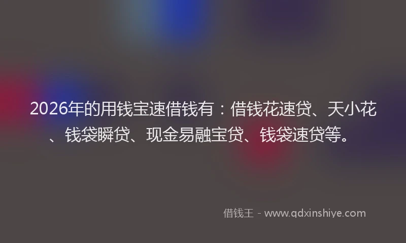 2026年的用钱宝速借钱有：借钱花速贷、天小花、钱袋瞬贷、现金易融宝贷、钱袋速贷等。
