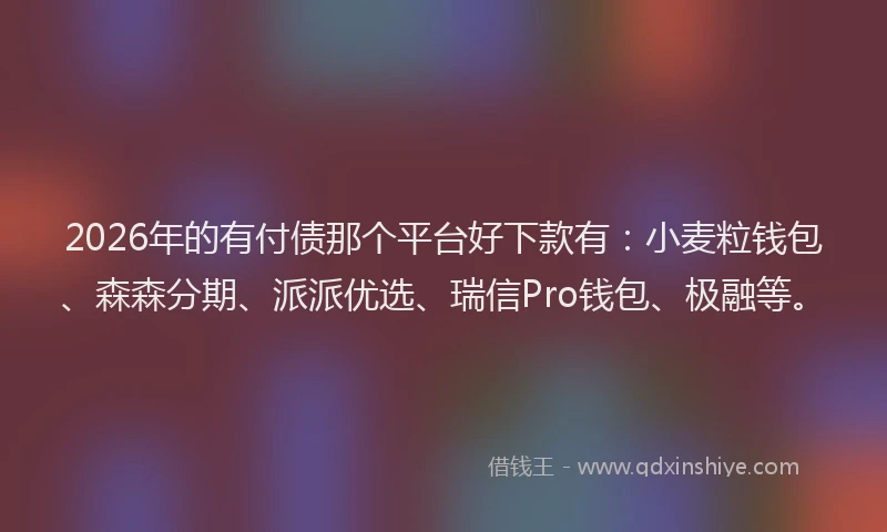 2026年的有付债那个平台好下款有：小麦粒钱包、森森分期、派派优选、瑞信Pro钱包、极融等。
