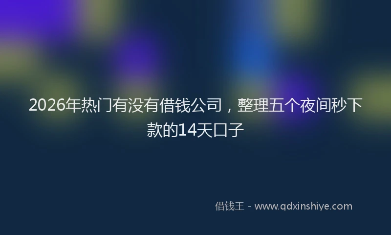 2026年热门有没有借钱公司,整理五个夜间秒下款的14天口子
