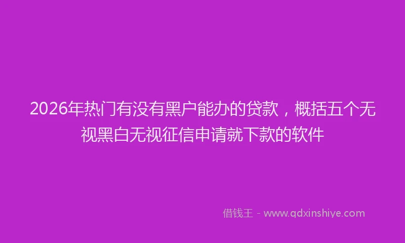 2026年热门有没有黑户能办的贷款，概括五个无视黑白无视征信申请就下款的软件