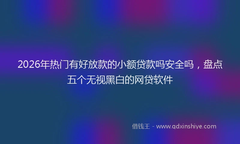 2026年热门有好放款的小额贷款吗安全吗，盘点五个无视黑白的网贷软件
