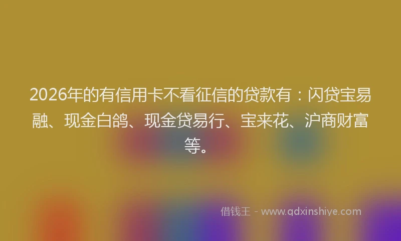 2026年的有信用卡不看征信的贷款有：闪贷宝易融、现金白鸽、现金贷易行、宝来花、沪商财富等。