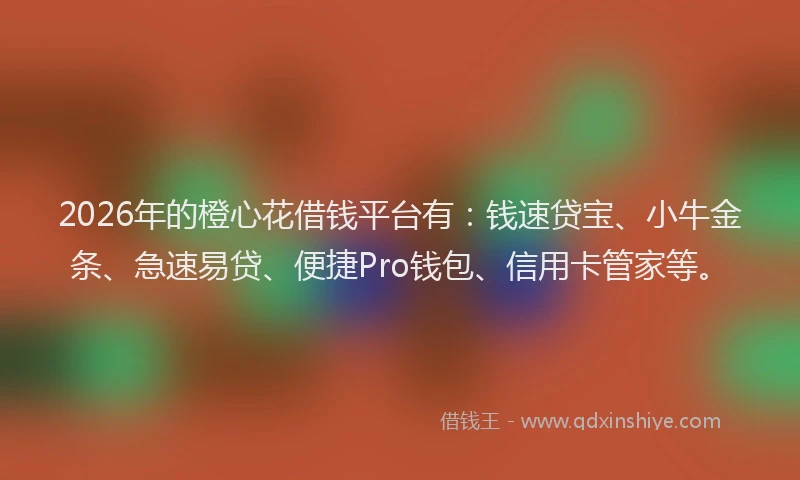 2026年的橙心花借钱平台有：钱速贷宝、小牛金条、急速易贷、便捷Pro钱包、信用卡管家等。