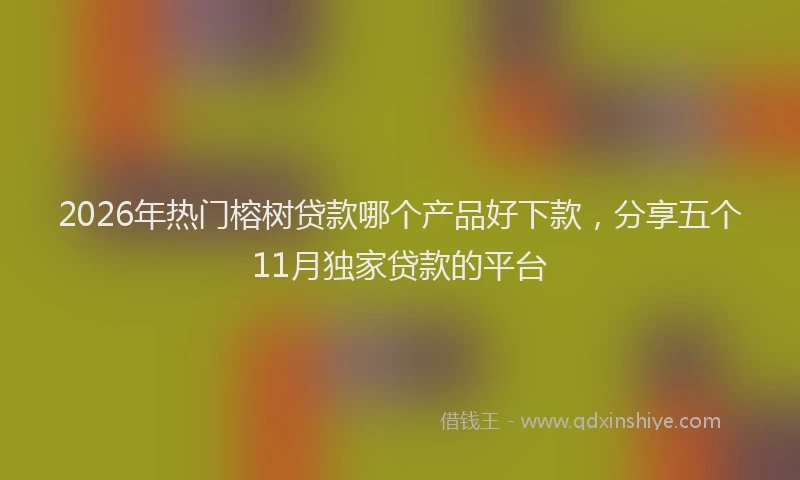 2026年热门榕树贷款哪个产品好下款，分享五个11月独家贷款的平台