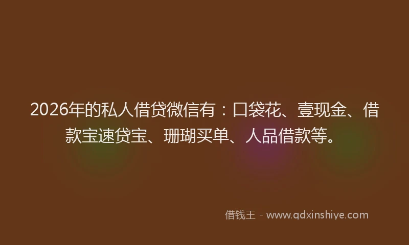2026年的私人借贷微信有：口袋花、壹现金、借款宝速贷宝、珊瑚买单、人品借款等。