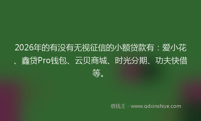2026年的有没有无视征信的小额贷款有：爱小花、鑫贷Pro钱包、云贝商城、时光分期、功夫快借等。