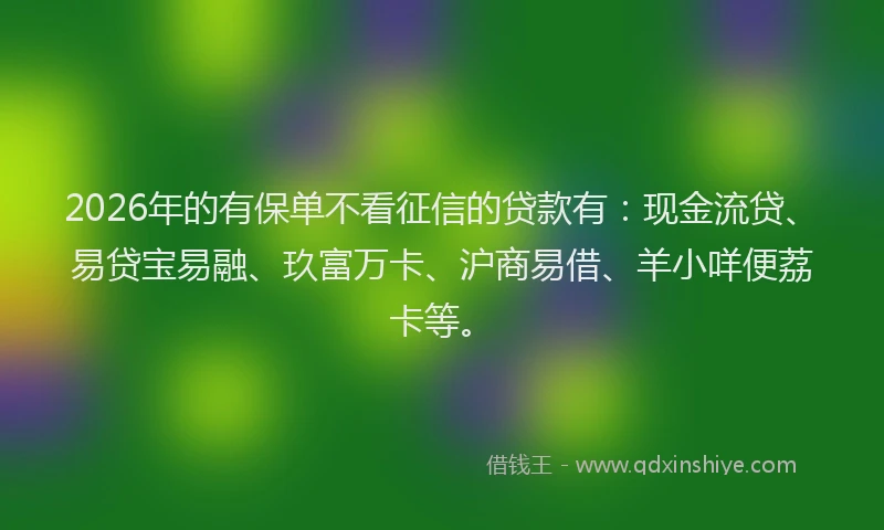 2026年的有保单不看征信的贷款有：现金流贷、易贷宝易融、玖富万卡、沪商易借、羊小咩便荔卡等。