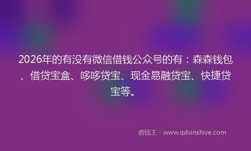 2026年的有没有微信借钱公众号的有：森森钱包、借贷宝盒、哆哆贷宝、现金易融贷宝、快捷贷宝等。