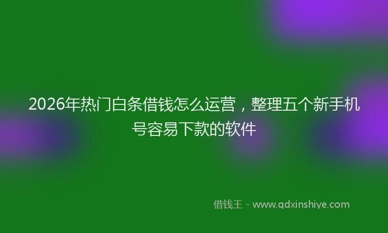2026年热门白条借钱怎么运营，整理五个新手机号容易下款的软件