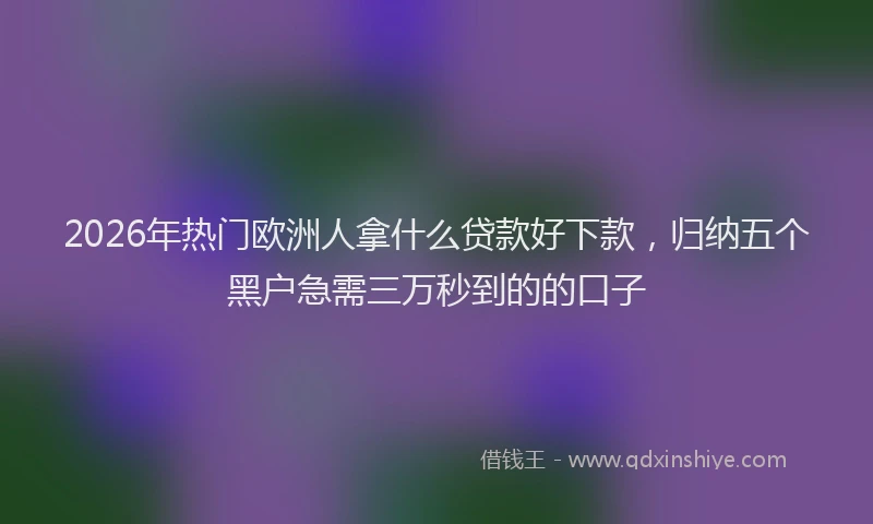 2026年热门欧洲人拿什么贷款好下款，归纳五个黑户急需三万秒到的的口子