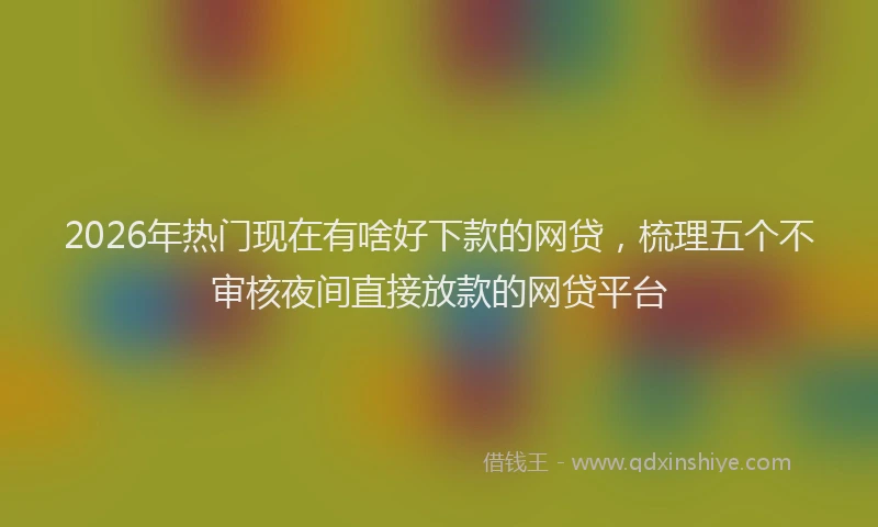 2026年热门现在有啥好下款的网贷，梳理五个不审核夜间直接放款的网贷平台