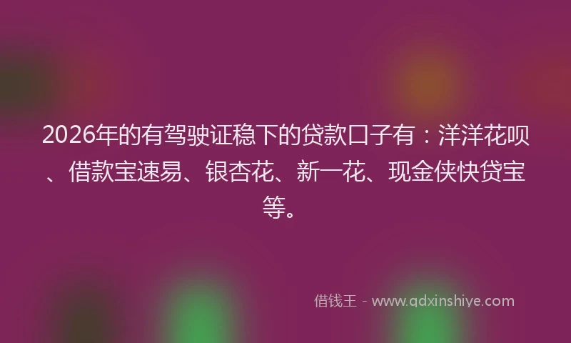 2026年的有驾驶证稳下的贷款口子有：洋洋花呗、借款宝速易、银杏花、新一花、现金侠快贷宝等。
