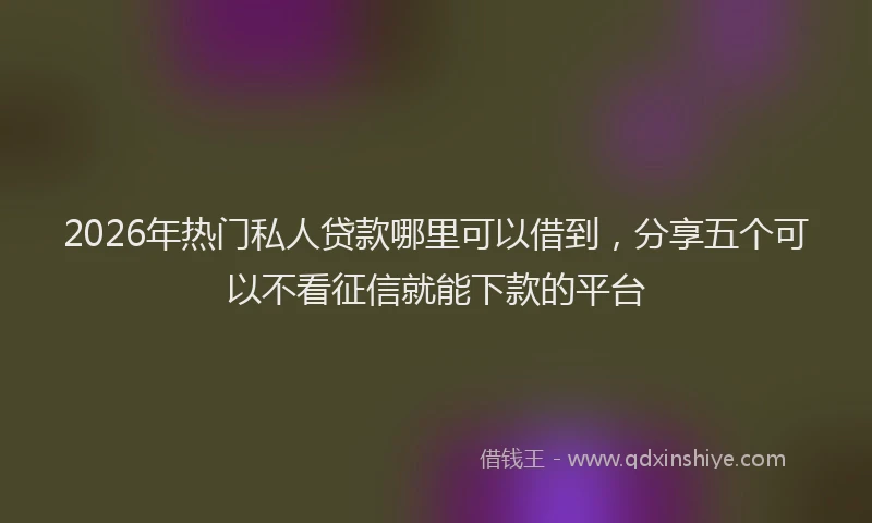 2026年热门私人贷款哪里可以借到，分享五个可以不看征信就能下款的平台