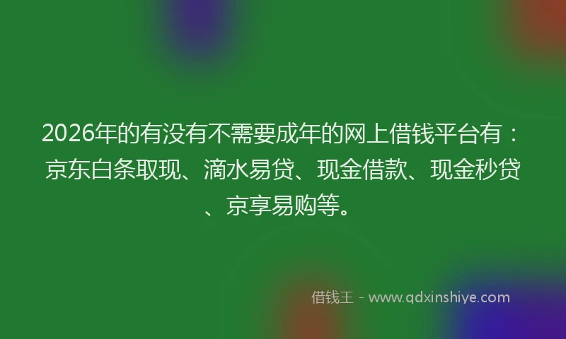 2026年的有没有不需要成年的网上借钱平台有：京东白条取现、滴水易贷、现金借款、现金秒贷、京享易购等。