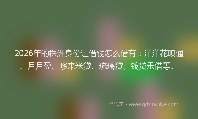 2026年的株洲身份证借钱怎么借有：洋洋花呗通、月月盈、哆来米贷、琉璃贷、钱贷乐借等。
