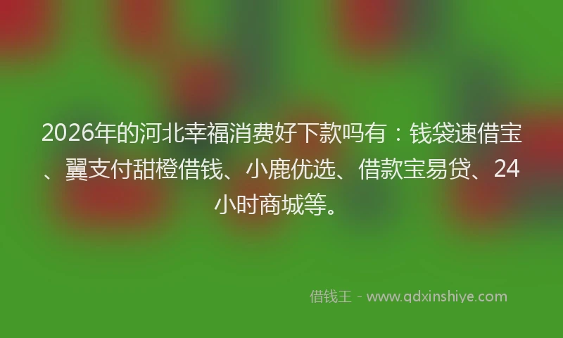 2026年的河北幸福消费好下款吗有：钱袋速借宝、翼支付甜橙借钱、小鹿优选、借款宝易贷、24小时商城等。