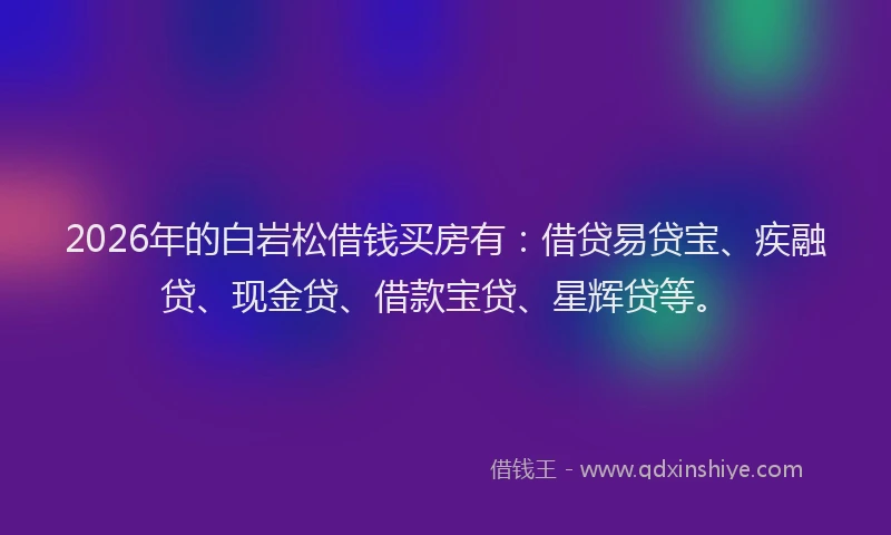 2026年的白岩松借钱买房有：借贷易贷宝、疾融贷、现金贷、借款宝贷、星辉贷等。