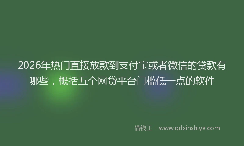 2026年热门直接放款到支付宝或者微信的贷款有哪些，概括五个网贷平台门槛低一点的软件