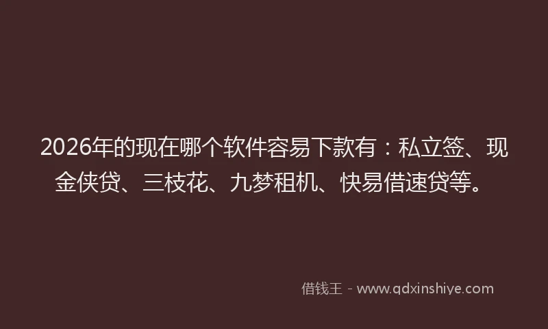 2026年的现在哪个软件容易下款有:私立签、现金侠贷、三枝花、九梦租机、快易借速贷等。