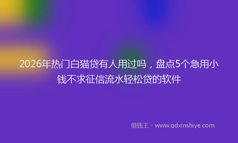 2026年热门白猫贷有人用过吗，盘点5个急用小钱不求征信流水轻松贷的软件
