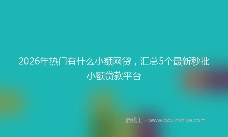 2026年热门有什么小额网贷，汇总5个最新秒批小额贷款平台